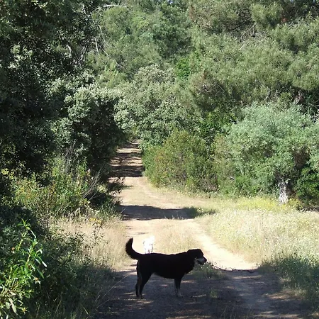 Apartment El Chorrillo Mit Gemeinschaftlichem Pool By Interhome