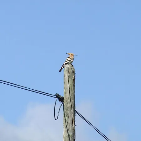 Apartment El Chorrillo Mit Gemeinschaftlichem Pool By Interhome *