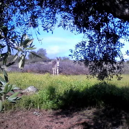 Apartment El Chorrillo Mit Gemeinschaftlichem Pool By Interhome *