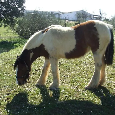 El Chorrillo Mit Gemeinschaftlichem Pool By Interhome *