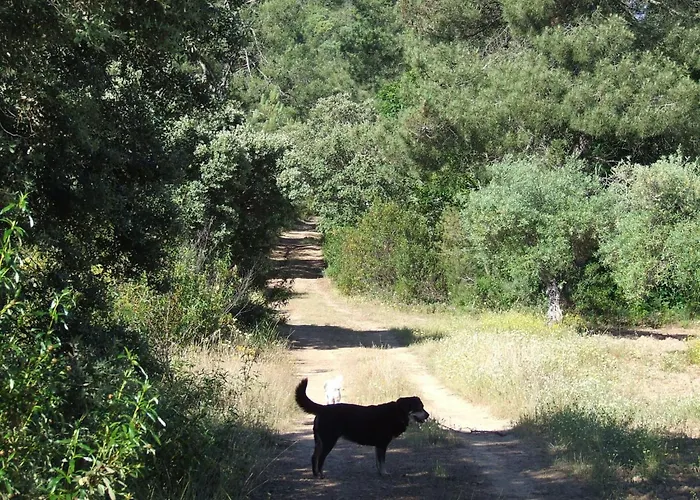 Апартаменты El Chorrillo Mit Gemeinschaftlichem Pool By Interhome