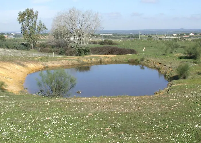 Апартаменты El Chorrillo Mit Gemeinschaftlichem Pool By Interhome Алькуэскар