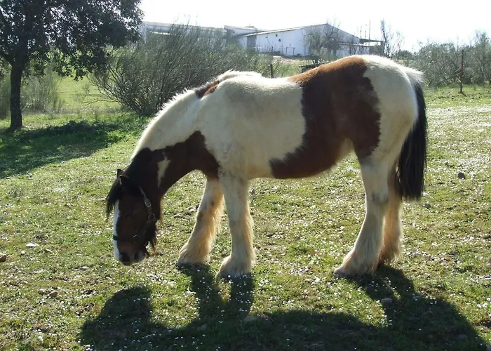 El Chorrillo Mit Gemeinschaftlichem Pool By Interhome *